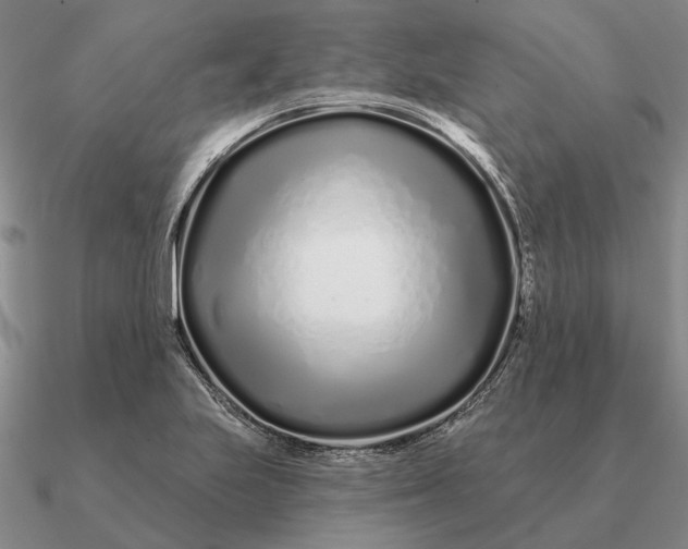 X0000090611223200708071156