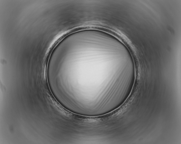 X0000090611224200708071156