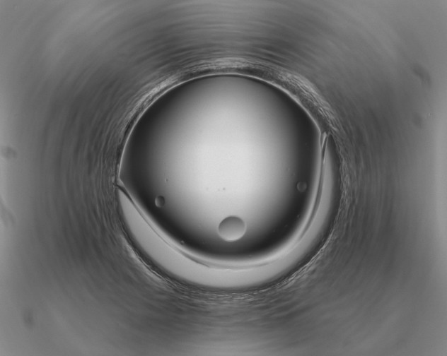 X0000090611225200708071156