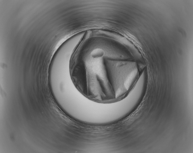 X0000090611226200708071156