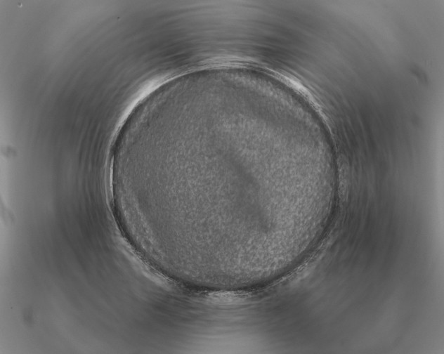 X0000090611227200708071157