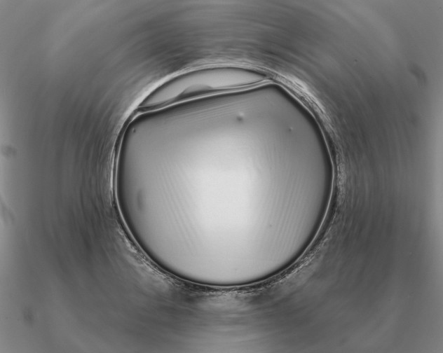 X0000090611228200708071157