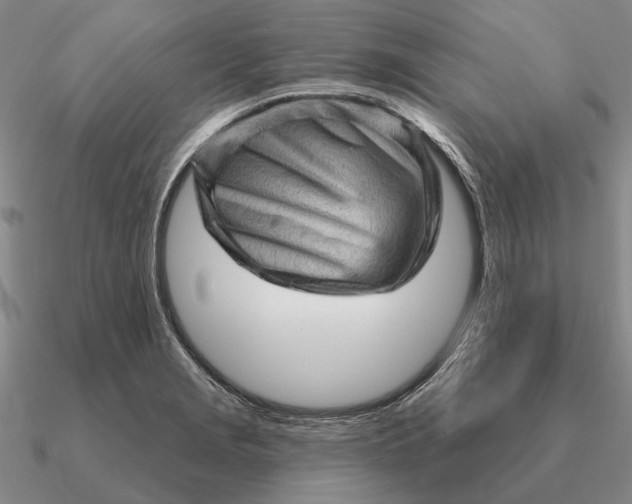 X0000090611229200708071157