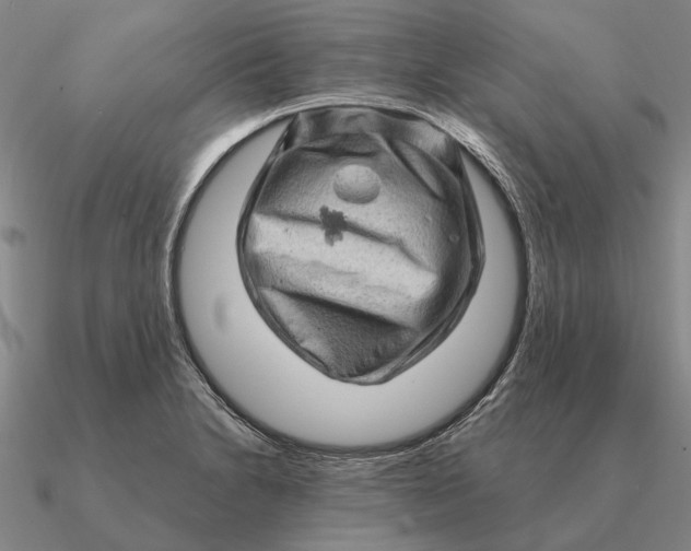 X0000090611230200708071157