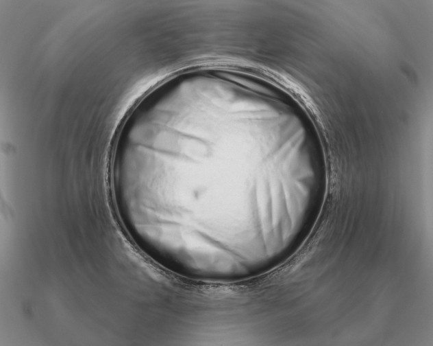 X0000090611231200708071157