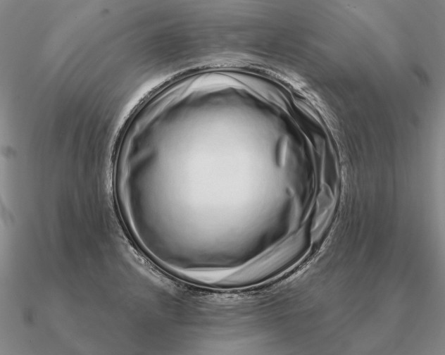 X0000090611232200708071157