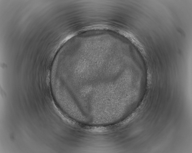 X0000090611233200708071157