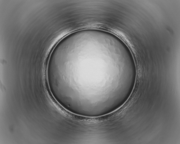 X0000090611235200708071157