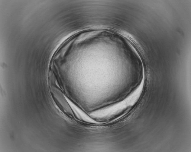 X0000090611236200708071157