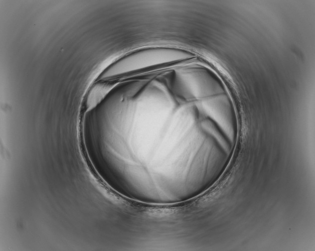 X0000090611237200708071157