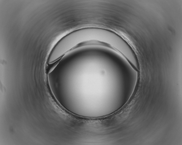 X0000090611238200708071157