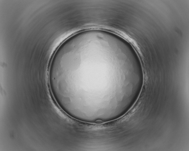 X0000090611239200708071157