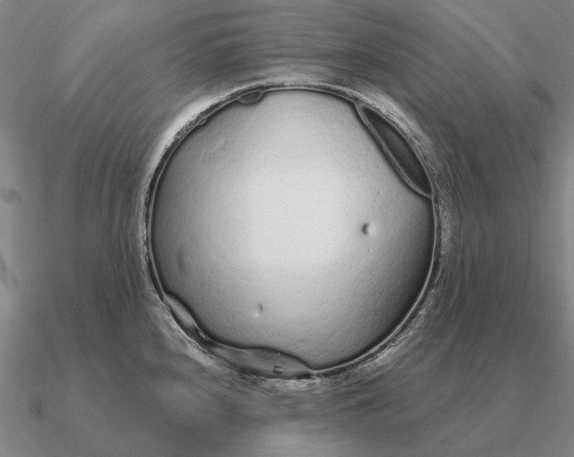 X0000090611240200708071157