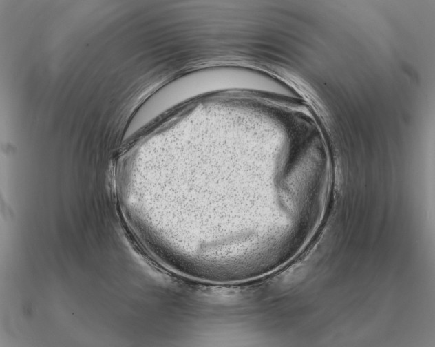 X0000090611241200708071157