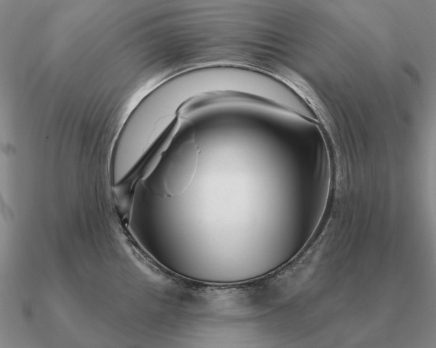 X0000090611242200708071157