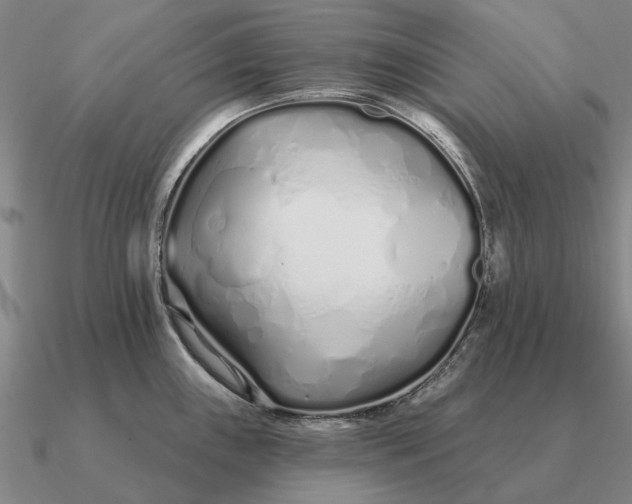 X0000090611243200708071157