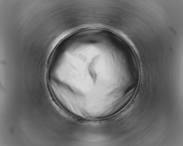 X0000090611245200708071157