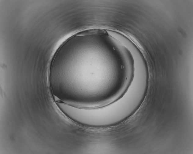 X0000090611246200708071157