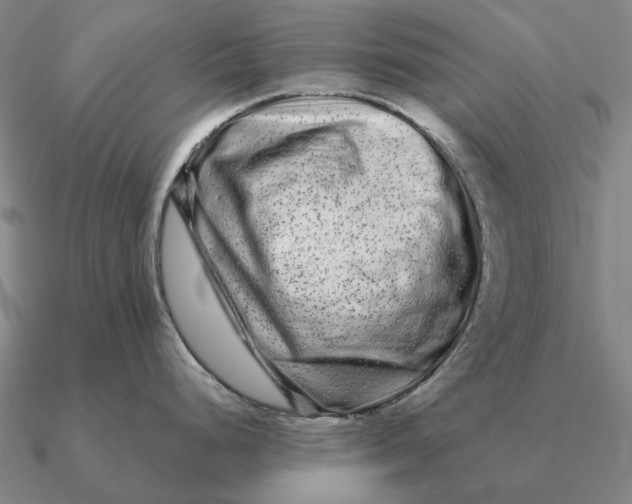 X0000090611248200708071157