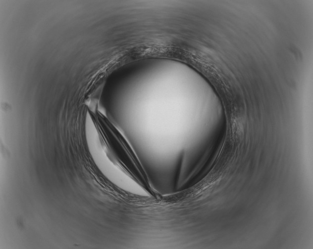 X0000090611250200708071156