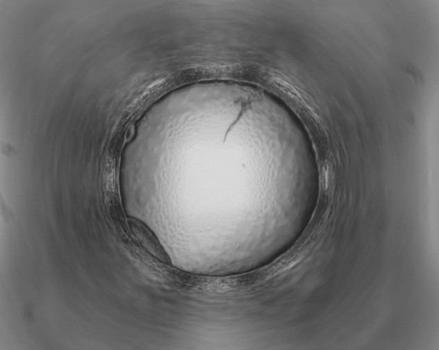 X0000090611251200708071156