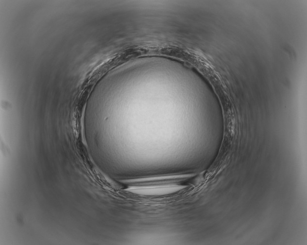 X0000090611253200708071156