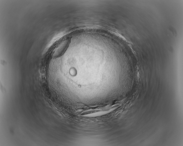 X0000090611255200708071156