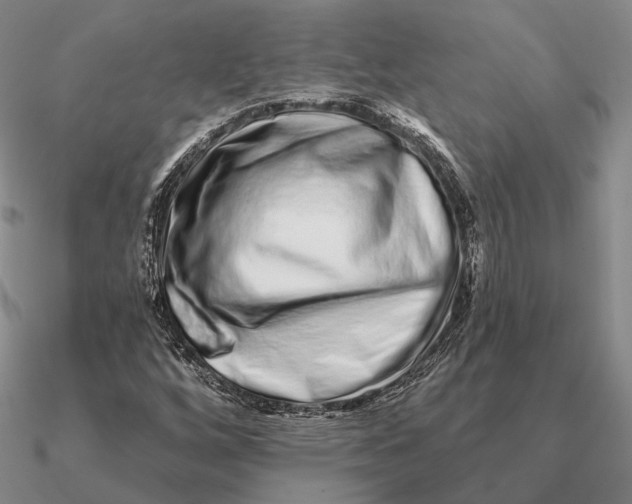 X0000090611256200708071156