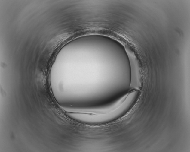 X0000090611257200708071156