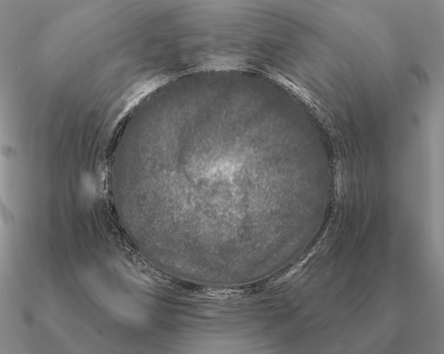 X0000090611258200708071156