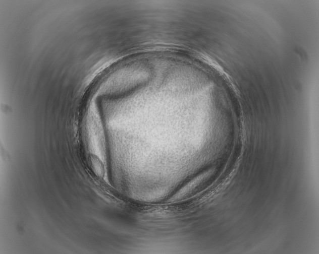 X0000090611259200708071156