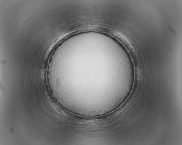 X0000090611260200708071156