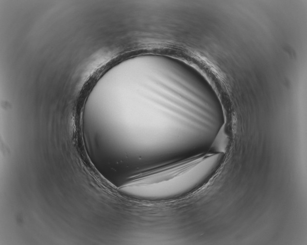 X0000090611261200708071156