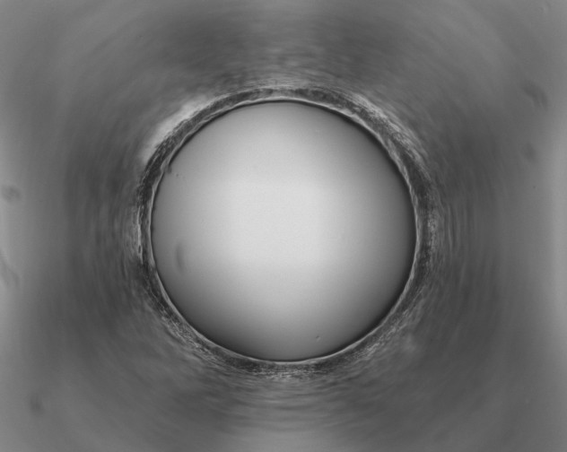 X0000090611262200708071156