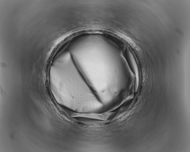 X0000090611264200708071156