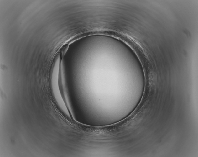 X0000090611265200708071156