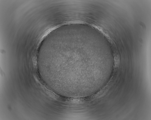 X0000090611266200708071156