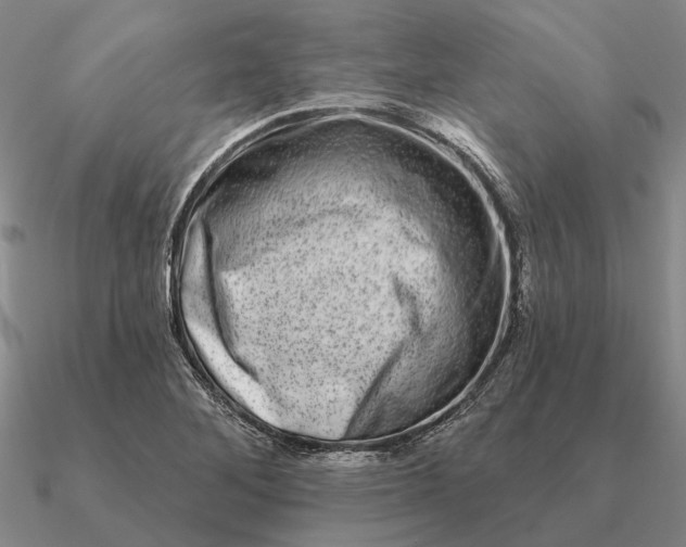 X0000090611268200708071156