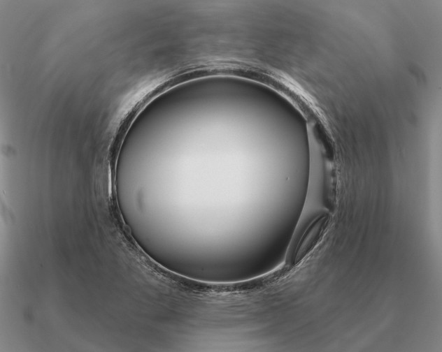 X0000090611269200708071156