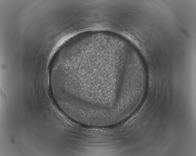 X0000090611270200708071156