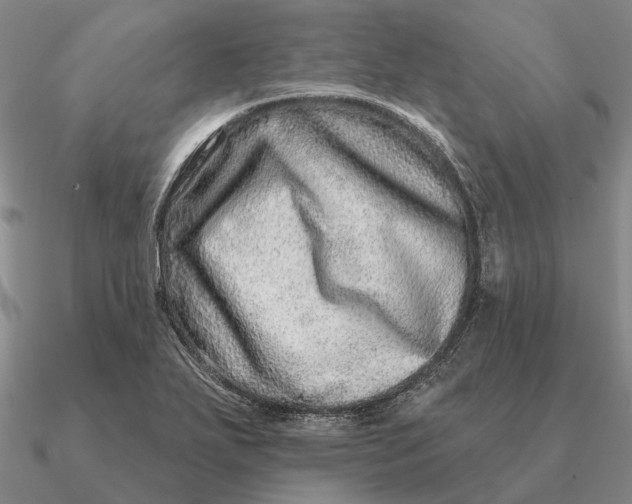 X0000090611271200708071156