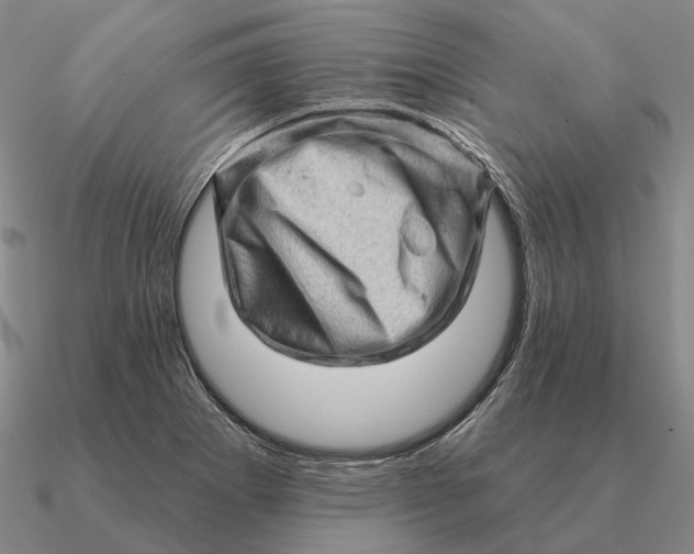 X0000090611273200708071156