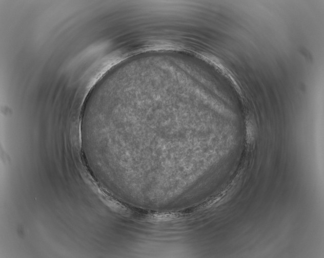 X0000090611274200708071156