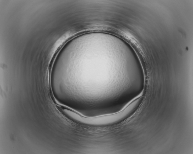 X0000090611275200708071156