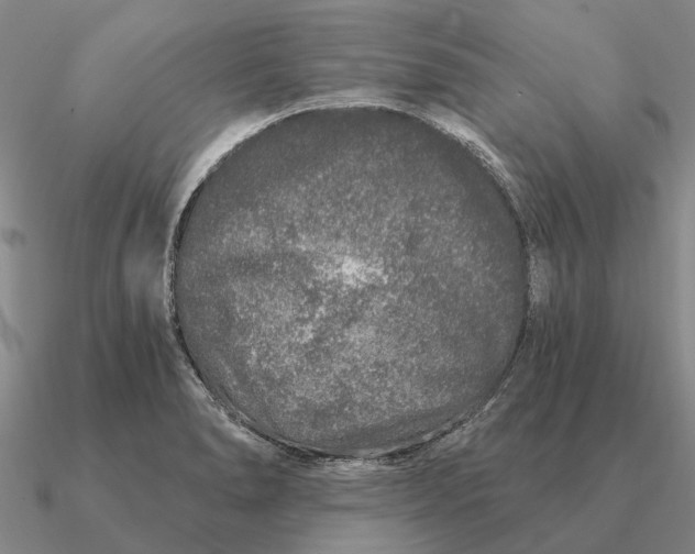 X0000090611278200708071156