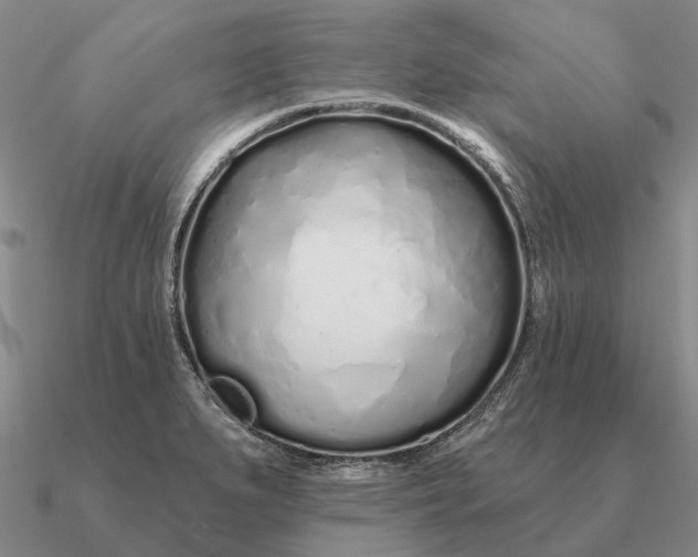 X0000090611279200708071156