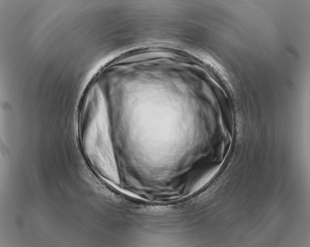 X0000090611280200708071156