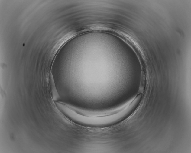 X0000090611281200708071156