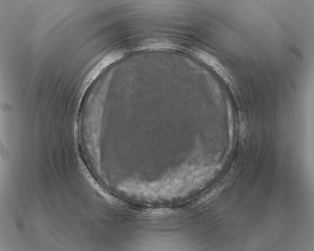 X0000090611282200708071156