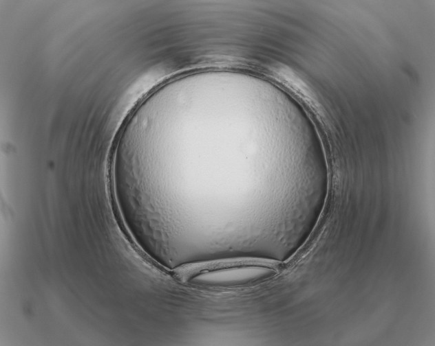 X0000090611283200708071156